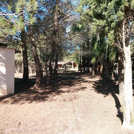 Buena Vista